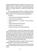 Diplomdarbs 'Kompānijas "Adidas" iekšējās un ārējās vides analīze', 10.