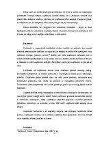 Diplomdarbs 'Kompānijas "Adidas" iekšējās un ārējās vides analīze', 11.