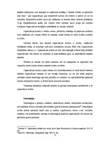 Diplomdarbs 'Kompānijas "Adidas" iekšējās un ārējās vides analīze', 13.