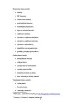 Diplomdarbs 'Kompānijas "Adidas" iekšējās un ārējās vides analīze', 25.