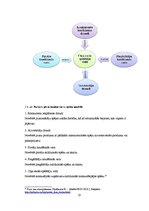 Diplomdarbs 'Kompānijas "Adidas" iekšējās un ārējās vides analīze', 27.