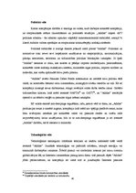 Diplomdarbs 'Kompānijas "Adidas" iekšējās un ārējās vides analīze', 40.