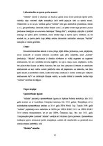 Diplomdarbs 'Kompānijas "Adidas" iekšējās un ārējās vides analīze', 45.