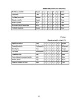 Diplomdarbs 'Kompānijas "Adidas" iekšējās un ārējās vides analīze', 80.