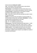 Konspekts 'Projekts sarīkojumam "Atrakciju parks "Sprīdītis""', 2.