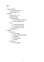 Konspekts 'Projekts sarīkojumam "Atrakciju parks "Sprīdītis""', 4.