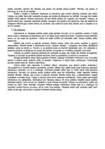 Referāts 'Gdaņskas mājas lapas analīze', 4.