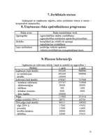 Biznesa plāns 'SIA "Kārkliņi"', 11.