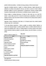 Konspekts 'Operāciju konti', 3.