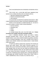 Referāts 'Lēmumu pieņemšana ārpoltikā Latvijā', 7.