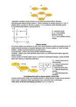 Referāts 'Fizikas rokasgrāmata', 29.