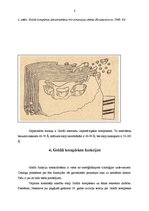 Referāts 'Goldži komplekss', 8.