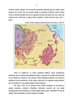 Referāts 'Goldži komplekss', 9.