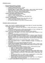 Konspekts 'Starptautiskās tiesības', 35.