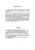 Prakses atskaite 'Intervija ar divu bērnu māmiņu', 5.