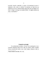 Referāts 'Akvīnas Toms un viņa filosofija', 12.