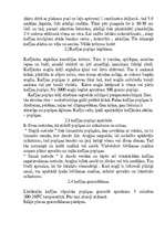 Referāts 'Kafija', 4.