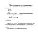 Referāts 'Kuģu kravu pārvadājumu tehnoloģija. Kuģa kravas plāns', 13.