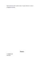 Eseja 'Latviešu valodas statuss mūsu valstī', 3.