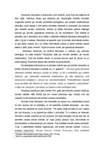 Referāts 'Feminisma ietekme uz 20.gs. politiku', 3.