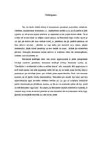 Referāts 'Feminisma ietekme uz 20.gs. politiku', 10.