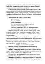 Konspekts 'Stāstīšanas mācīšana pirmsskolas vecuma bērniem', 11.