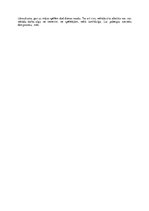 Referāts 'Zēnu basketbola problemātika Daugavpilī', 17.