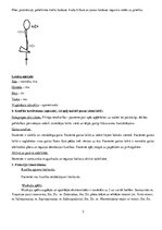 Prakses atskaite 'Pacienta vēsture fizioterapijas studentiem - mugurkaula kakla daļas spondiloze', 3.