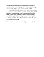 Referāts 'Investīciju projekta analīze uzņēmumā "V"', 8.