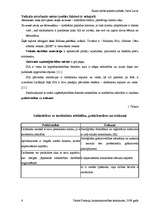 Referāts 'SIA "Lars Limited" veikals "Esse"', 6.