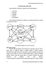 Referāts 'SIA "Lars Limited" veikals "Esse"', 11.