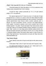 Referāts 'SIA "Lars Limited" veikals "Esse"', 19.