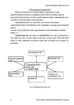 Referāts 'SIA "Lars Limited" veikals "Esse"', 21.