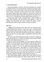 Referāts 'SIA "Lars Limited" veikals "Esse"', 23.