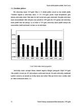 Referāts 'SIA "Lars Limited" veikals "Esse"', 25.
