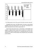 Referāts 'SIA "Lars Limited" veikals "Esse"', 26.