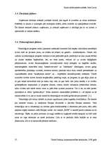 Referāts 'SIA "Lars Limited" veikals "Esse"', 27.