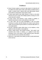 Referāts 'SIA "Lars Limited" veikals "Esse"', 29.