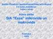 Referāts 'SIA "Lars Limited" veikals "Esse"', 31.