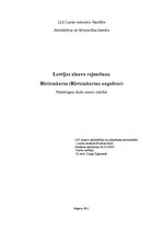Referāts 'Ainavu rajonēšana. Rietumkursa', 1.