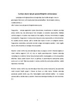 Referāts 'Ainavu rajonēšana. Rietumkursa', 5.