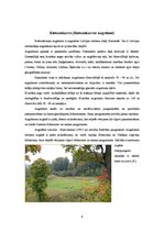 Referāts 'Ainavu rajonēšana. Rietumkursa', 8.