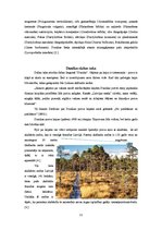 Referāts 'Ainavu rajonēšana. Rietumkursa', 11.