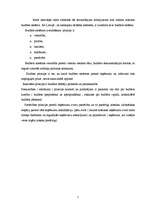 Referāts 'Pašvaldību budžeta analīze Latvijā', 7.