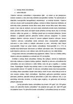 Referāts 'Pašvaldību budžeta analīze Latvijā', 19.