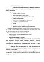 Referāts 'Pašvaldību budžeta analīze Latvijā', 31.