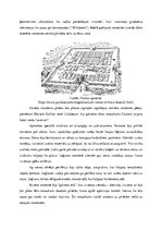 Referāts 'Romas apmetne', 9.