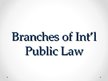 Prezentācija 'Branches of International Public Law', 1.