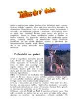 Referāts 'Āfrikas dzīvā daba', 1.