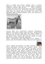 Referāts 'Āfrikas dzīvā daba', 4.